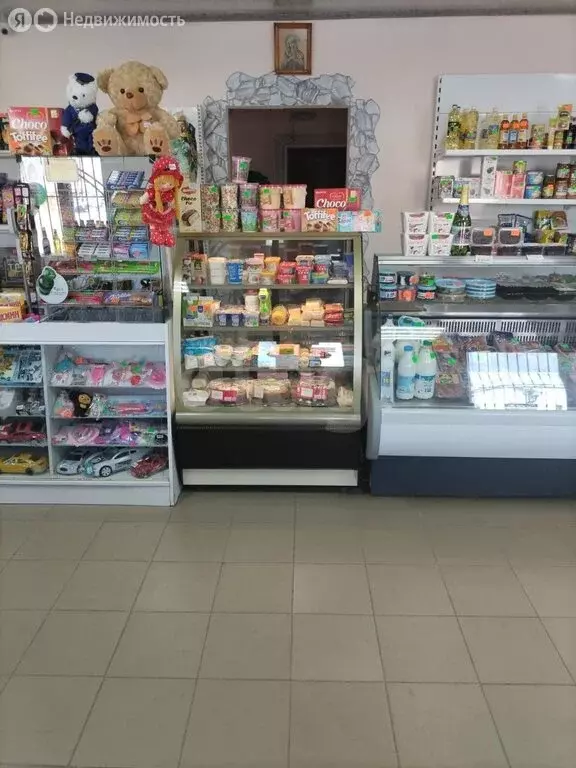 Торговая площадь (65.2 м) - Фото 1