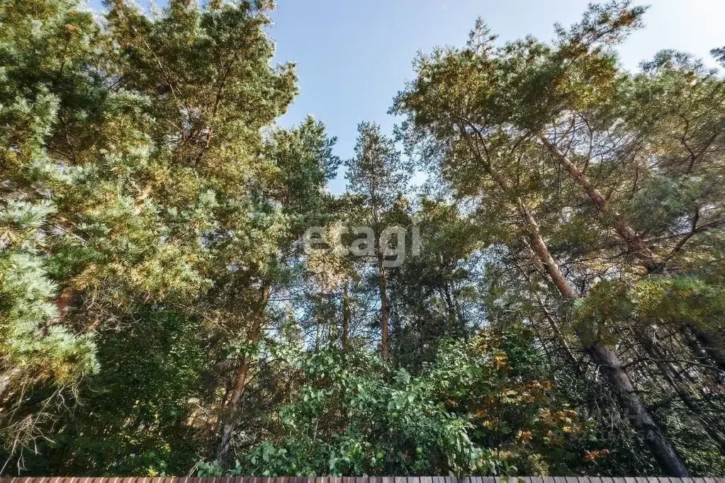 Участок в Липецкая область, Грязинский район, Плехановский сельсовет, ... - Фото 2