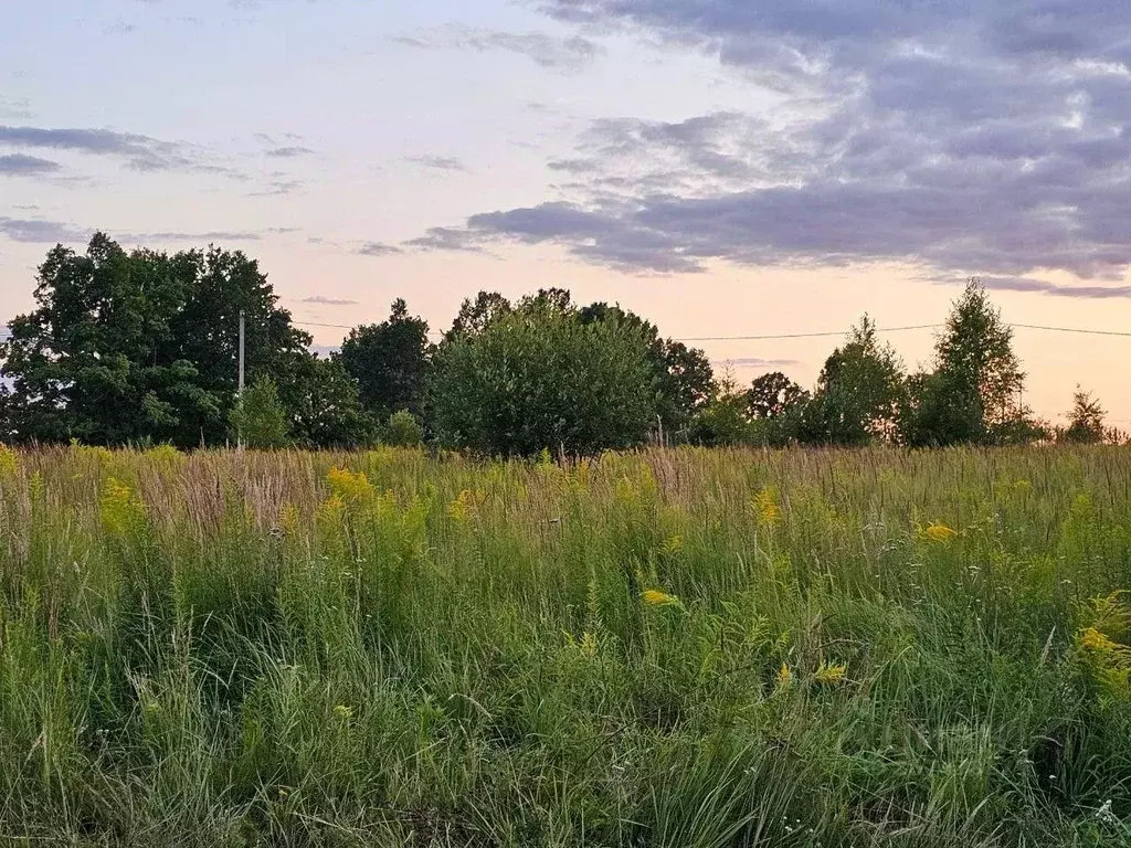 Участок в Тульская область, Веневский муниципальный округ, д. Барсуки  ... - Фото 2