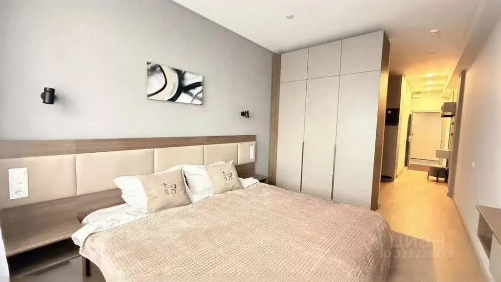 Студия Санкт-Петербург Песочная наб., 42к2 (30.0 м) - Фото 1