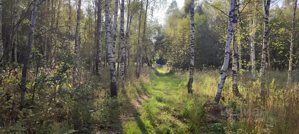 Участок в Владимирская область, Киржачский район, Кипревское ... - Фото 0