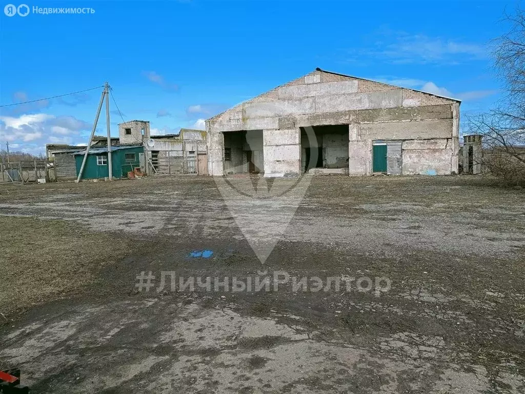 Участок в село Ильинка, улица Фадеевка (47 м) - Фото 1
