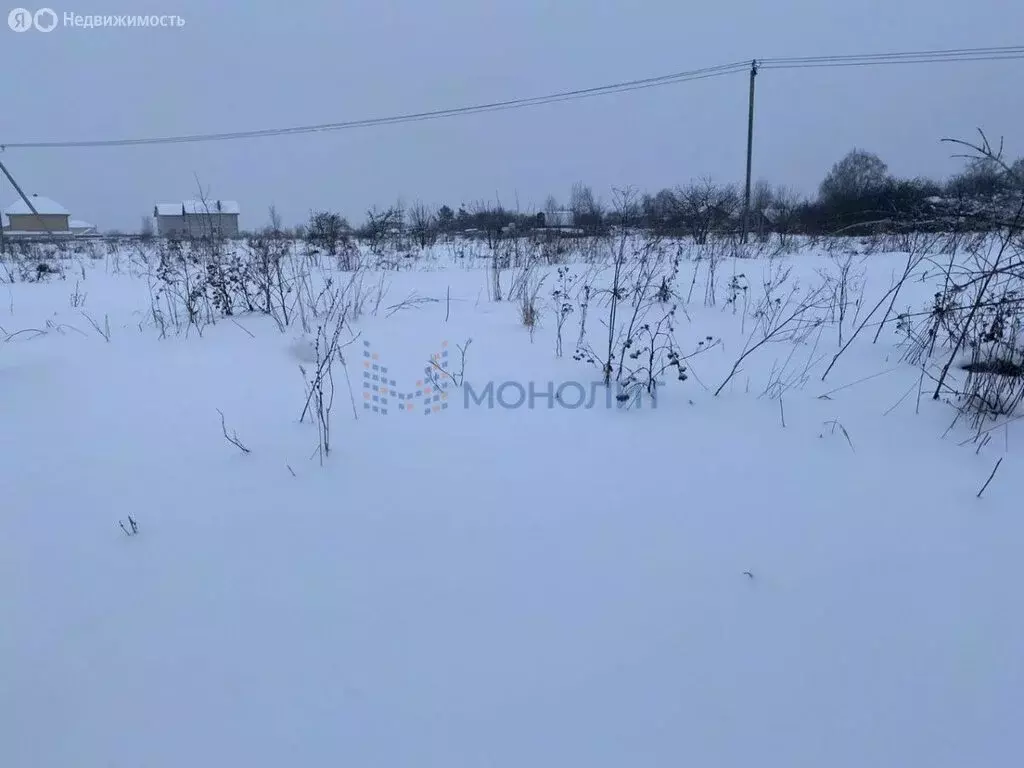 Участок в Нижегородская область, Богородский муниципальный округ, ... - Фото 0