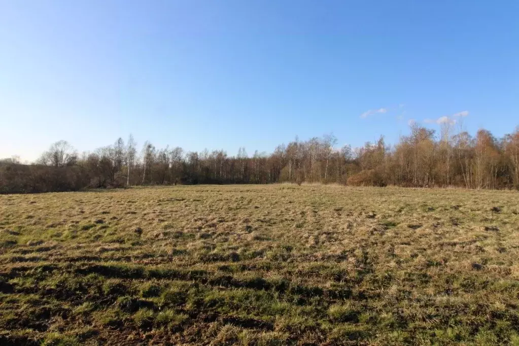 Участок в Ленинградская область, Выборгский район, Каменногорское ... - Фото 2