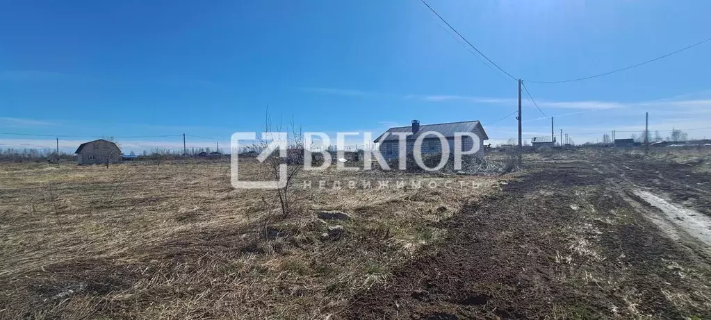 Участок в Костромская область, Кострома Первый кп, проезд Даниловский ... - Фото 2