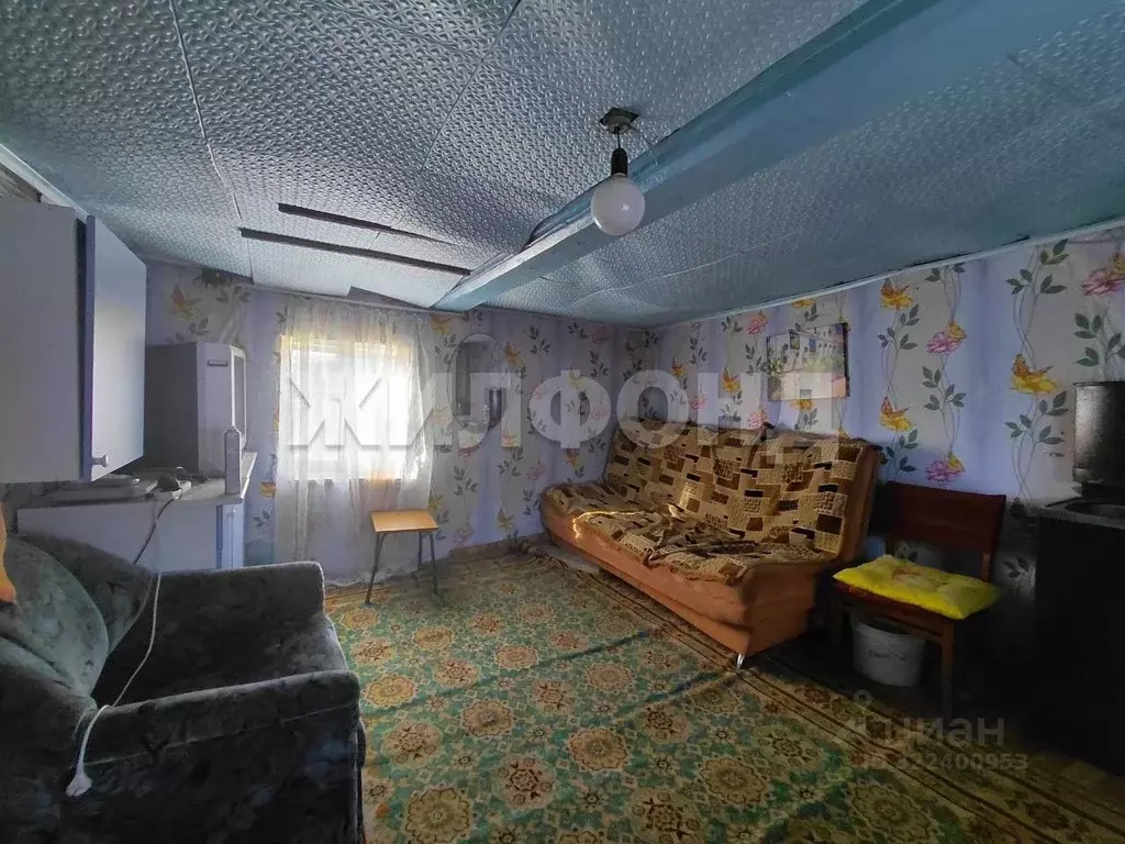 Дом в Новосибирская область, Колыванский район, с. Скала Зеленая ул. ... - Фото 1