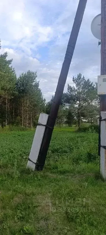 Участок в Алтайский край, Барнаул городской округ, пос. Черницк ул. ... - Фото 2