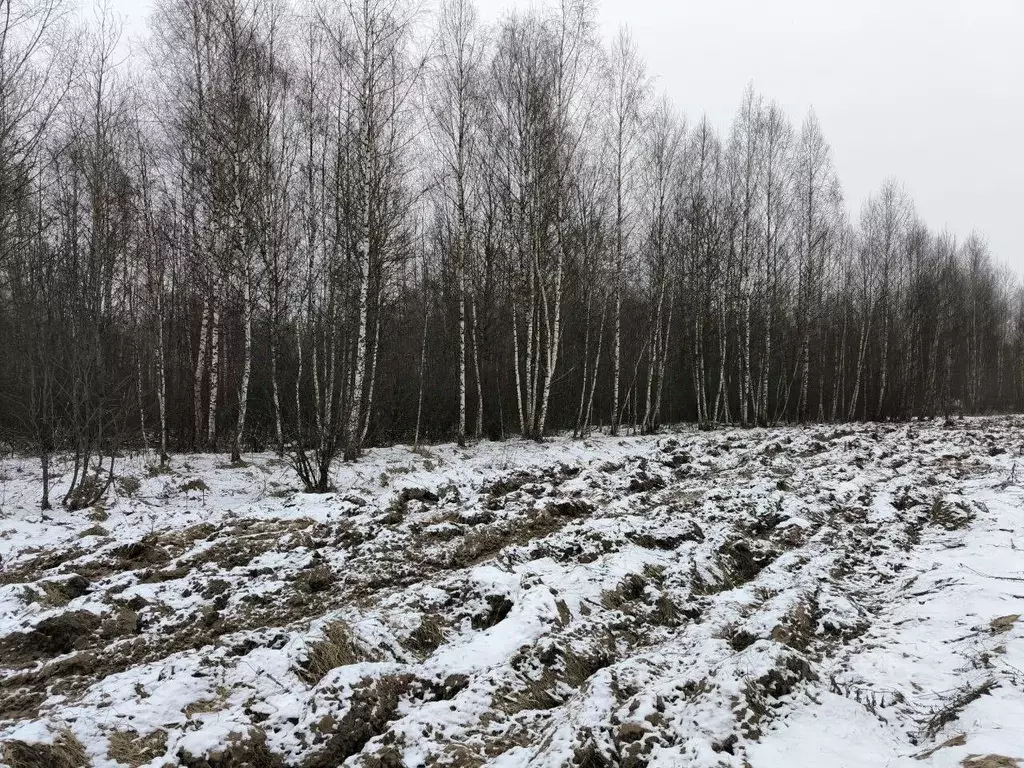 Участок в Московская область, Лотошино муниципальный округ, д. ... - Фото 0