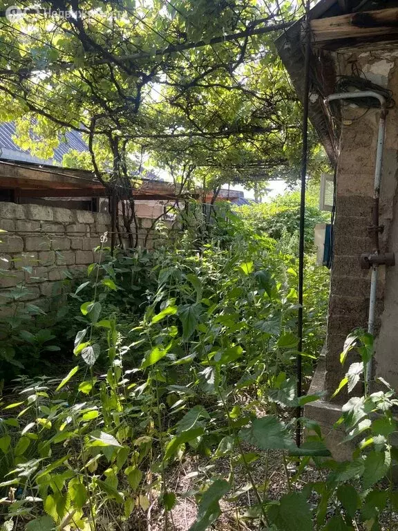 Дом в Нальчик, улица Братьев Кушховых, 83 (45 м) - Фото 1