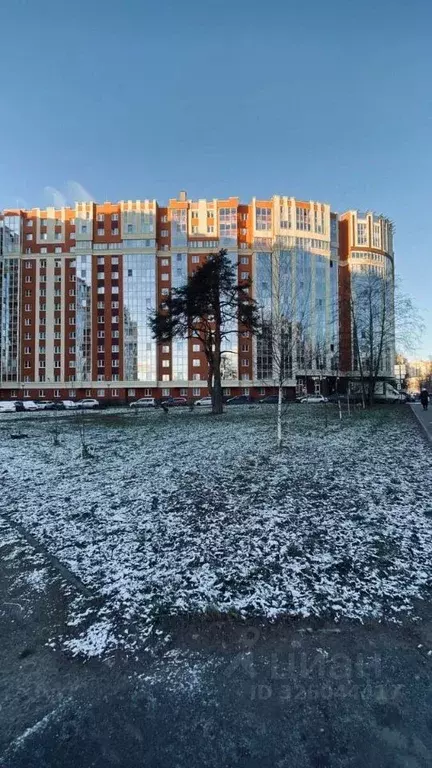 1-к кв. Ленинградская область, Мурино Всеволожский район, Оборонная ... - Фото 1