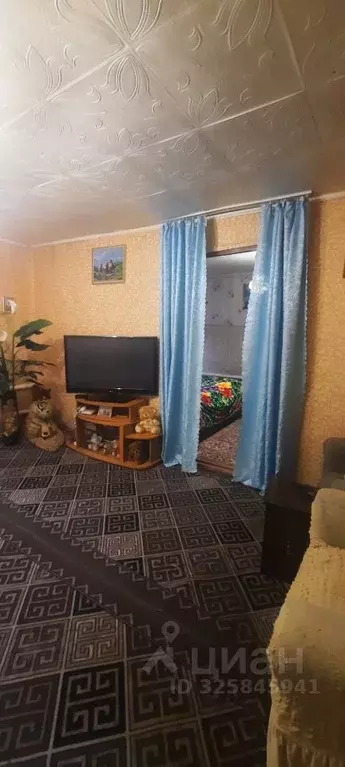 Дом в Алтайский край, Калманский район, с. Новороманово ул. ... - Фото 1