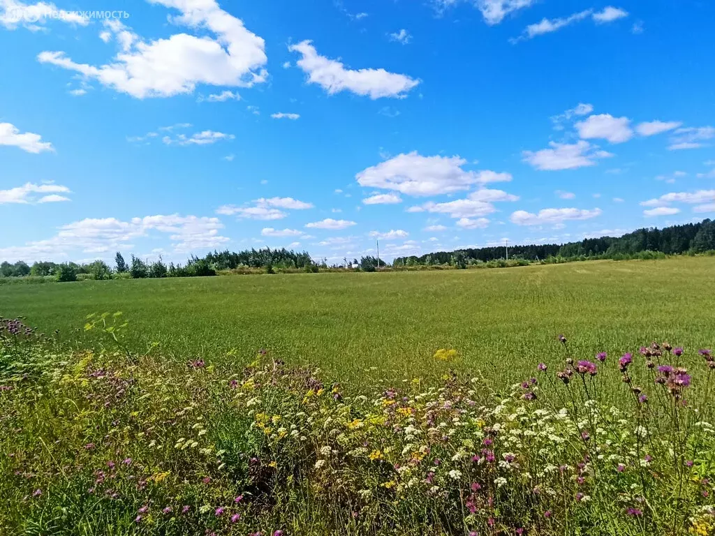 Участок в Ленинское сельское поселение, деревня Сунцовы (473.23 м) - Фото 1