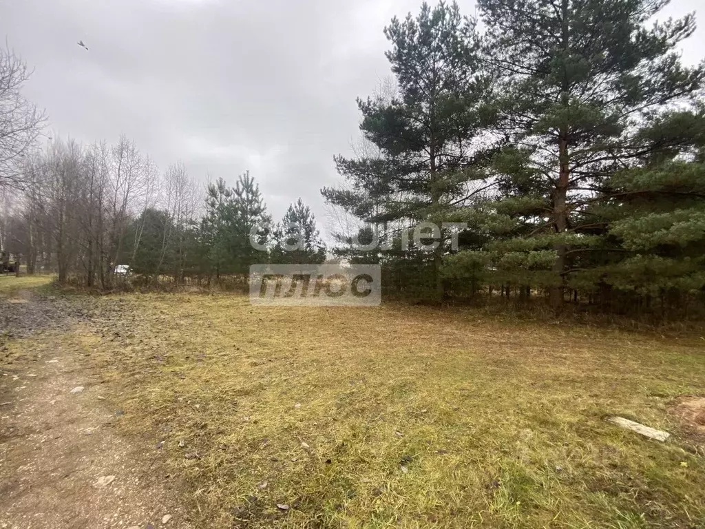 Участок в Московская область, Дмитровский муниципальный округ, ... - Фото 1