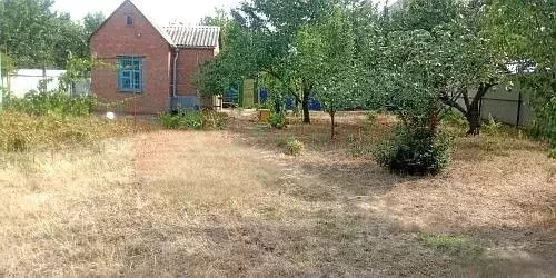 Участок в Ростовская область, Ростов-на-Дону Защитник СНТ, 10/19 (6.0 ... - Фото 1