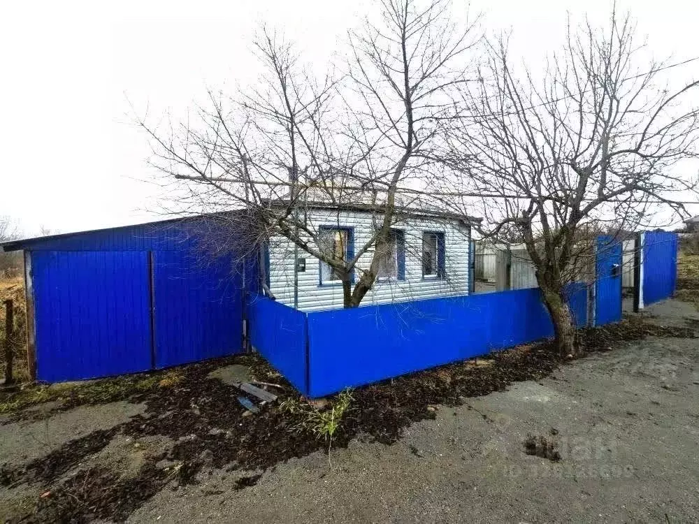 Дом в Белгородская область, Новооскольский муниципальный округ, с. ... - Фото 1