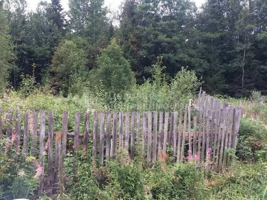 Участок в Новгородский муниципальный район, Савинское сельское ... - Фото 1