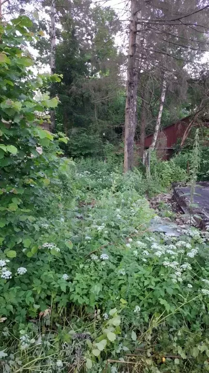 Участок в Московская область, Одинцовский городской округ, ... - Фото 2