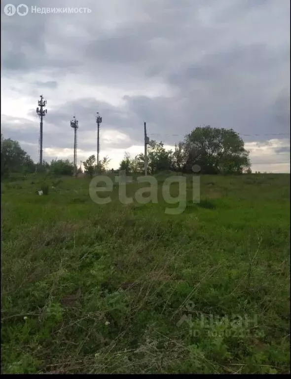 Участок в Озинский район, село Балаши (15600 м) - Фото 1