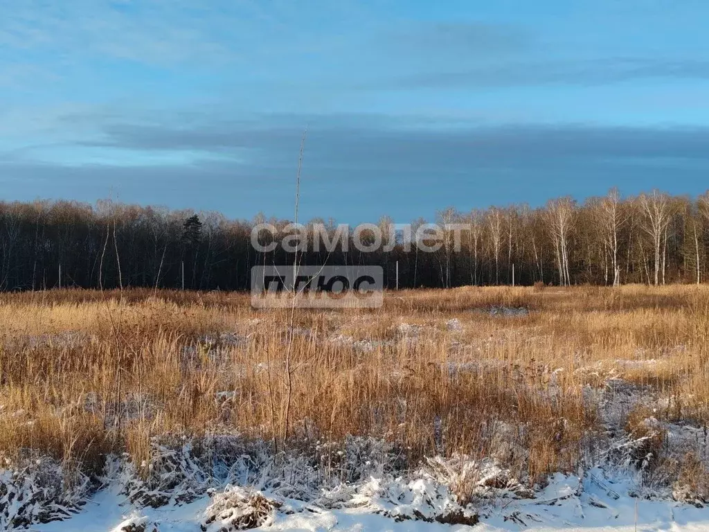 Участок в Калужская область, Калуга городской округ, д. Сивково  (8.0 ... - Фото 1