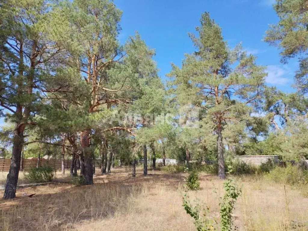 Участок в Ростовская область, Каменск-Шахтинский Ландыш СНТ, ул. ... - Фото 1