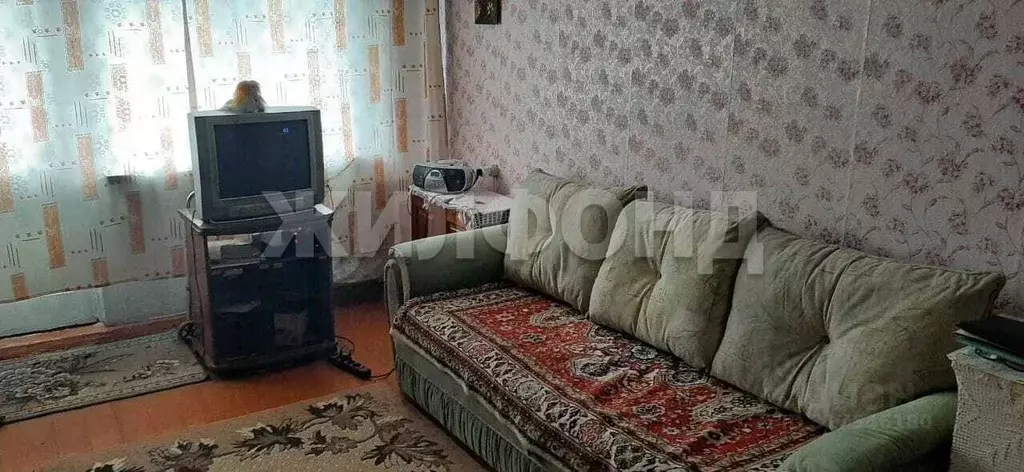 1-к кв. Алтайский край, Барнаул Телефонная ул., 52 (30.9 м) - Фото 1