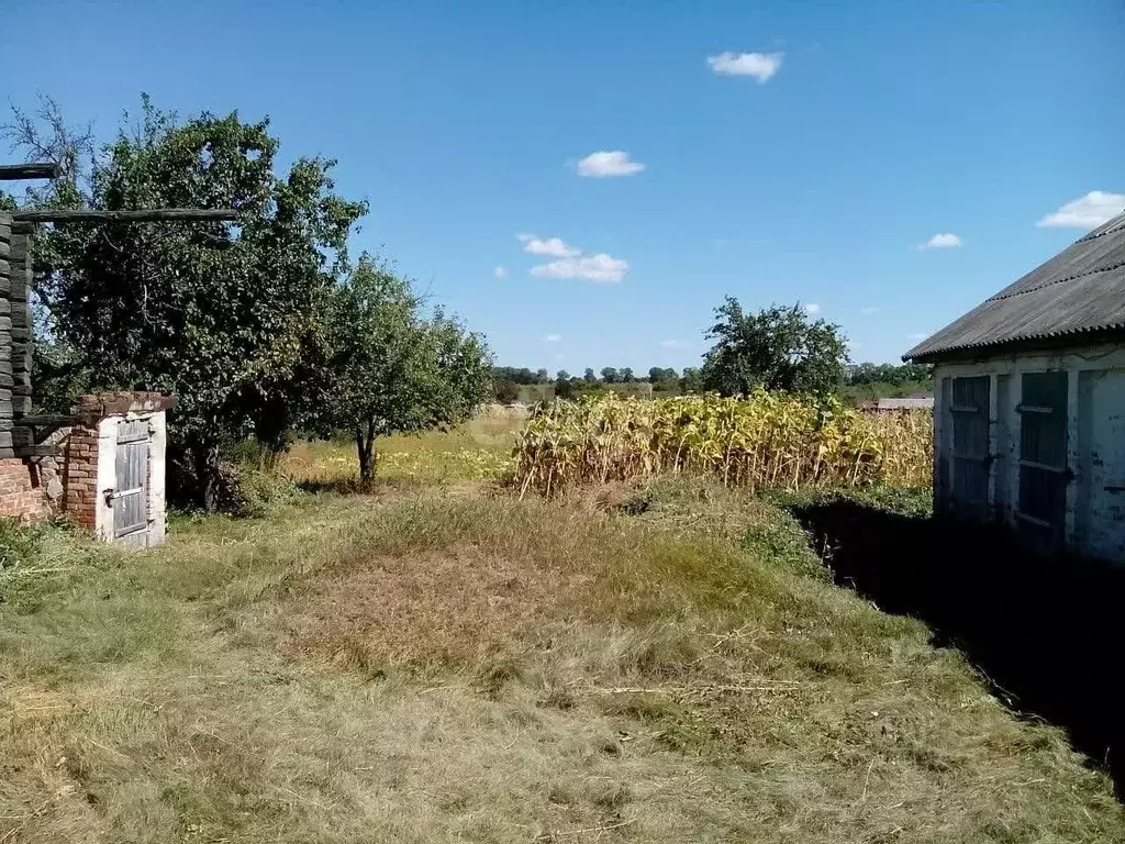 Участок в Белгородская область, Алексеевский муниципальный округ, с. ... - Фото 2
