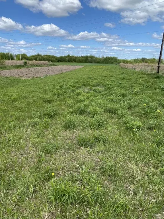 Участок в Нижегородская область, Городецкий муниципальный округ, д. ... - Фото 1
