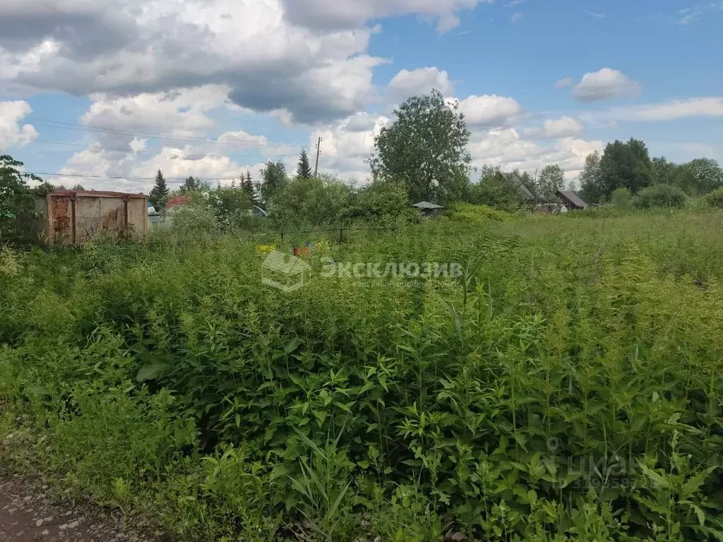 Участок в Тюменская область, Нижнетавдинский район, Виктория ТСН ул. ... - Фото 0