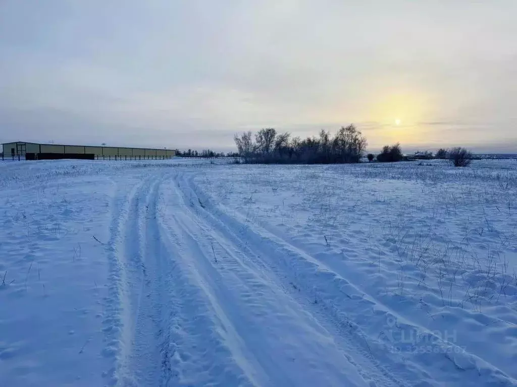 Участок в Саха (Якутия), Якутск городской округ, с. Хатассы  (20.0 ... - Фото 2