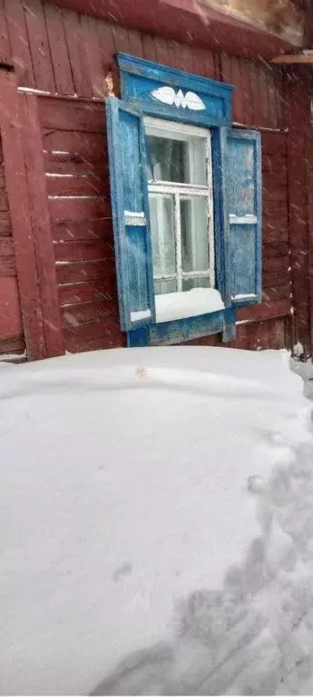 Дом в Новосибирская область, Болотное Барнаульская ул., 27 (23 м) - Фото 1