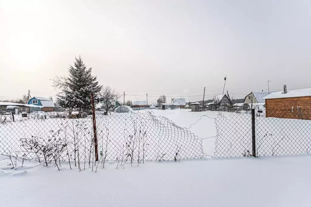 Участок в Бердск, СНТ Росинка, 16-я улица (5 м) - Фото 2