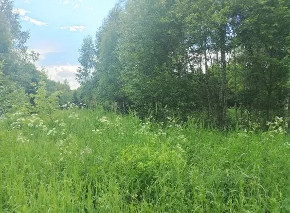 Участок в Московская область, Орехово-Зуевский городской округ, д. ... - Фото 1