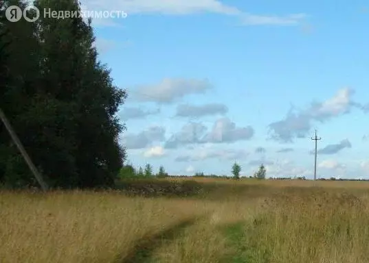 Участок в Ярославская область, Мышкинский муниципальный округ, деревня ... - Фото 1