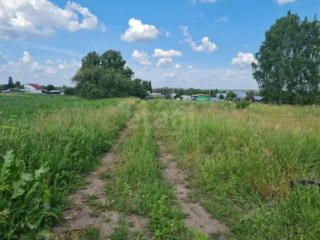 Участок в Свердловская область, Слободо-Туринский район, ... - Фото 1