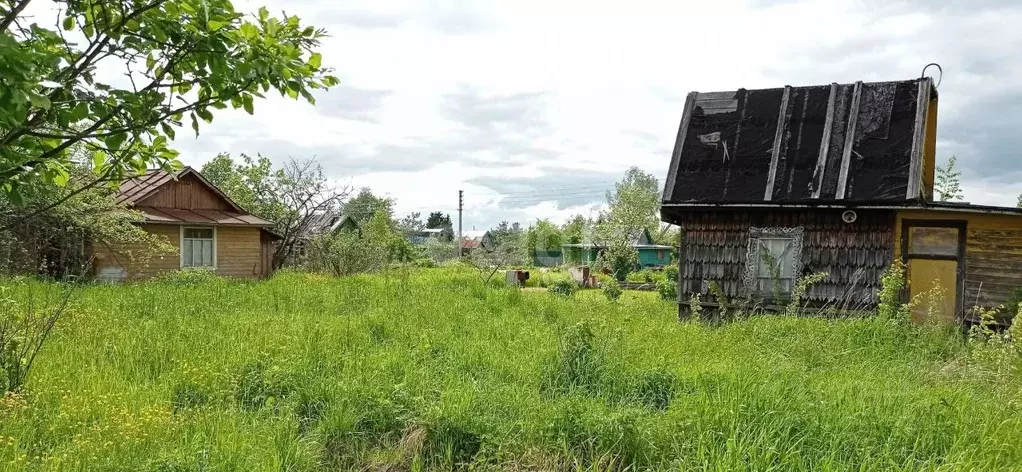 Участок в Вологодская область, Колос садоводческое товарищество  (5.2 ... - Фото 2