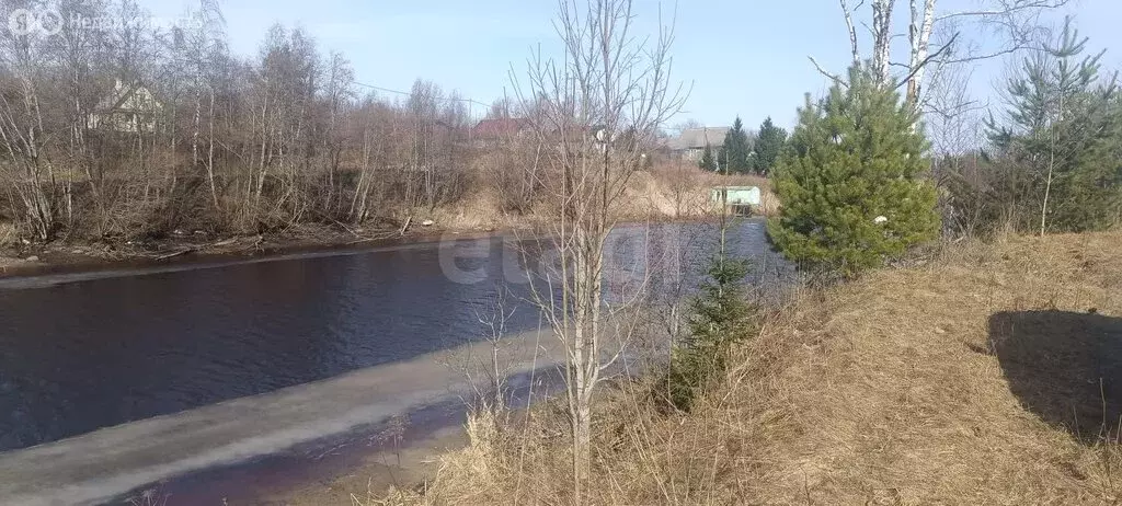 Участок в Волховский район, Свирицкое сельское поселение, деревня ... - Фото 2