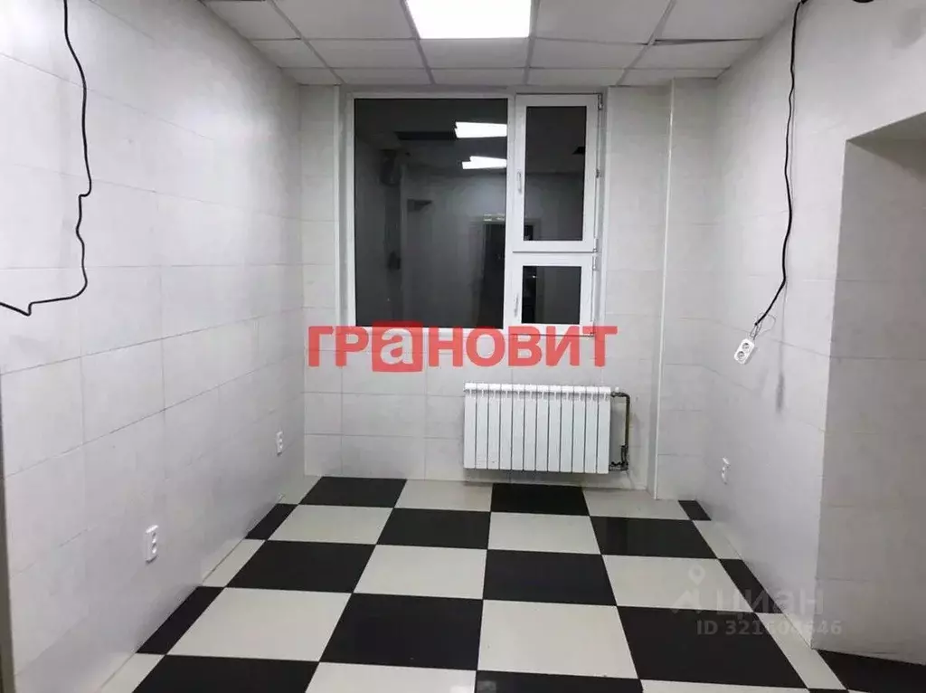 Помещение свободного назначения в Новосибирская область, Новосибирск ... - Фото 1