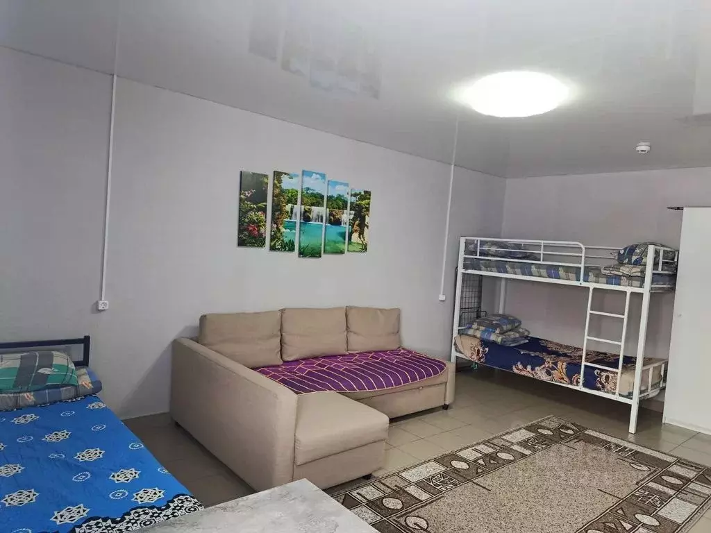 Студия Башкортостан, Кушнаренковский сельсовет, с. Кушнаренково ул. ... - Фото 1