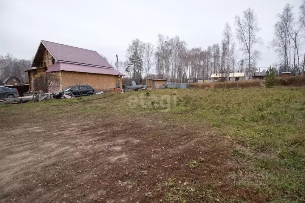 Участок в Новосибирская область, Новосибирский район, Барышевский ... - Фото 1