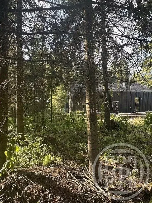 Дом в Ленинградская область, Всеволожский район, Морозовское городское ... - Фото 1