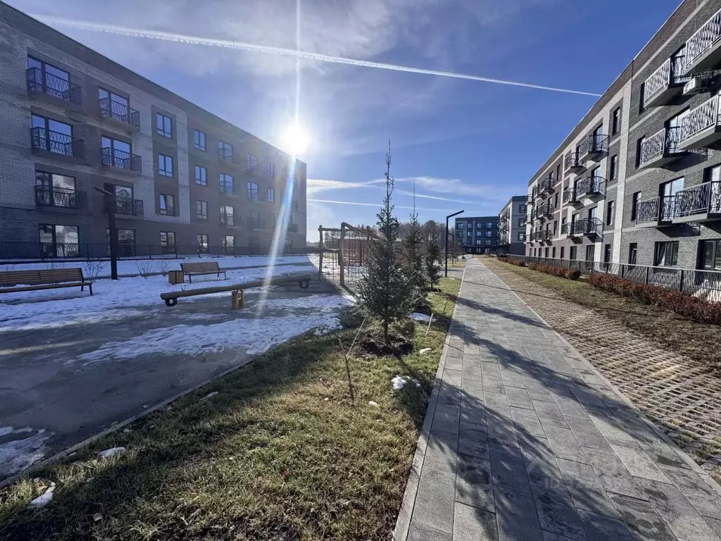 Студия Новосибирская область, Кольцово рп, Ботаника мкр 6 (31.1 м) - Фото 2