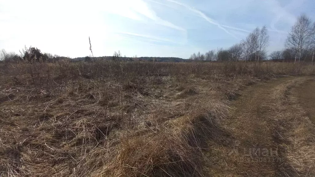 Участок в Владимирская область, Камешковский район, Второвское ... - Фото 1