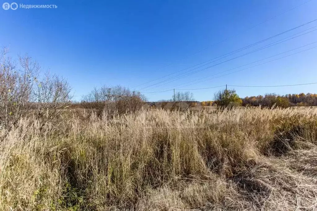 Участок в Тобольск, микрорайон Иртышский (10 м) - Фото 1