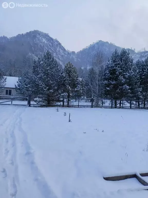 Дом в Чемальский район, село Чемал (66 м) - Фото 2