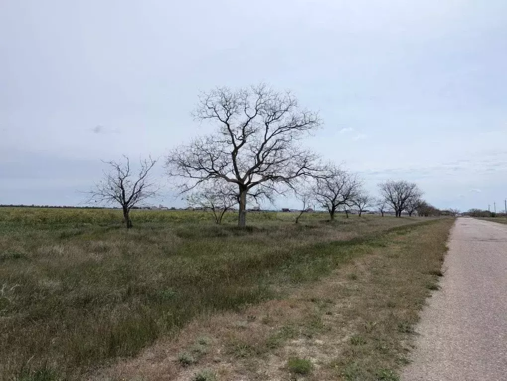 Участок в Крым, Черноморский район, Окуневское с/пос, с. Знаменское  ... - Фото 1