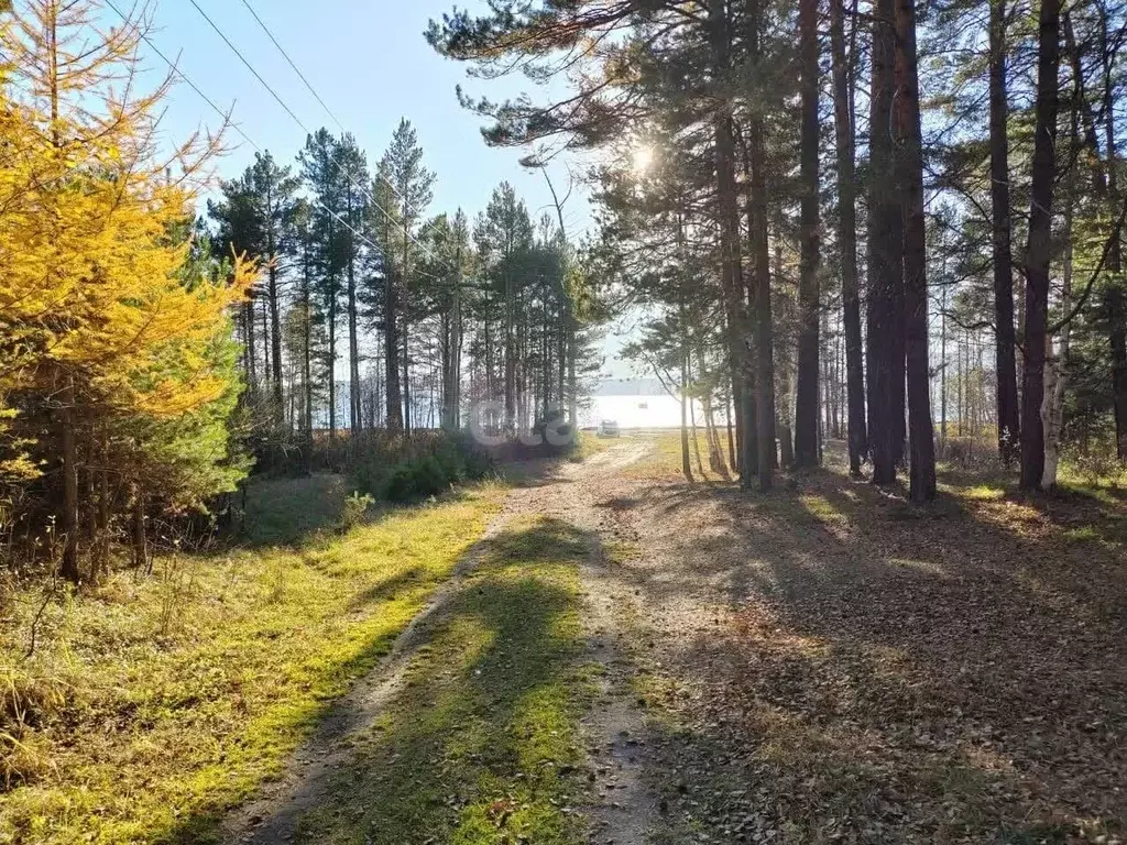 Участок в Бурятия, Прибайкальский район, пос. Исток  (8.0 сот.) - Фото 0