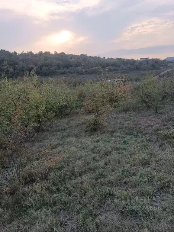 Участок в Крым, Симферопольский район, Перовское с/пос, с. Клиновка ... - Фото 1