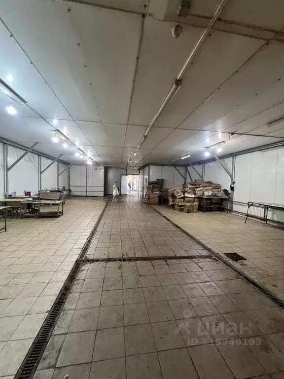 Помещение свободного назначения в Рязанская область, Рыбновский район, ... - Фото 0