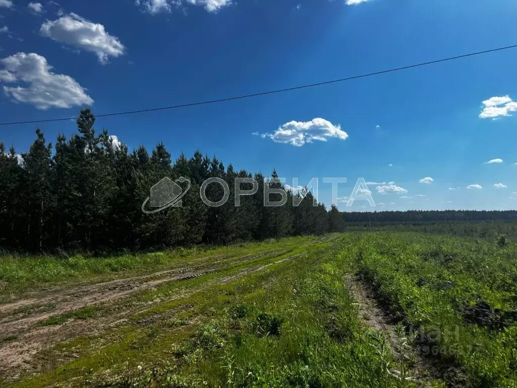 Участок в Свердловская область, Тугулым пгт пл. 50-летия Октября (6.0 ... - Фото 2