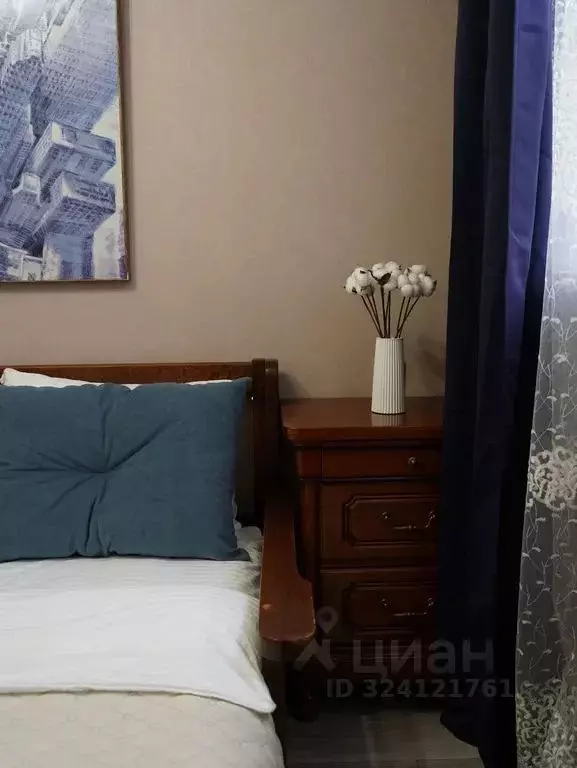 1-к кв. Краснодарский край, Краснодар Центральный мкр, ул. ... - Фото 2